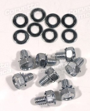 Plug Shield Screws & Washers. Big Block 16 Piece 65-66