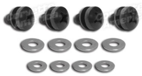 Rear Window Run Screw & Washer Set. 63-67