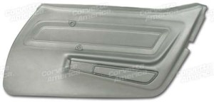 Door Panel. Silver RH 74-75