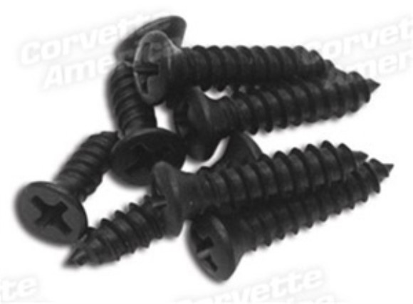 Speedometer/Tachometer Cluster & Lens Screw Set. 78-82